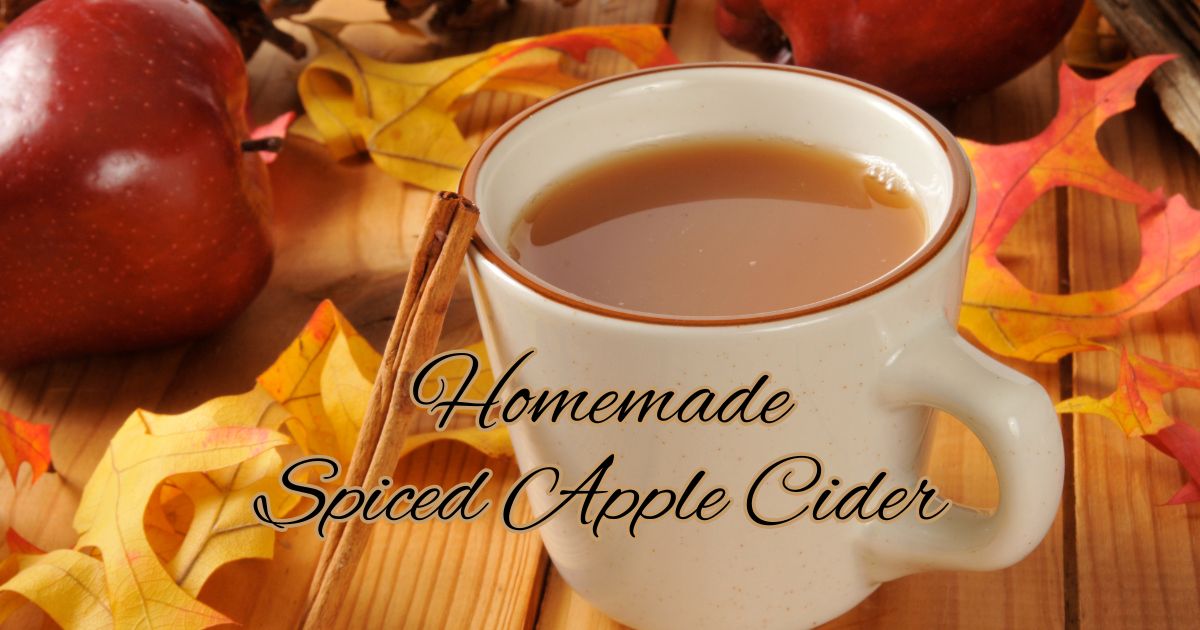 Warm Spiced Apple Cider Recipe