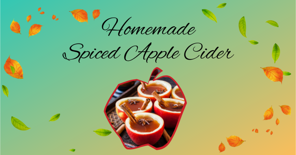 Homemade Spiced Apple Cider